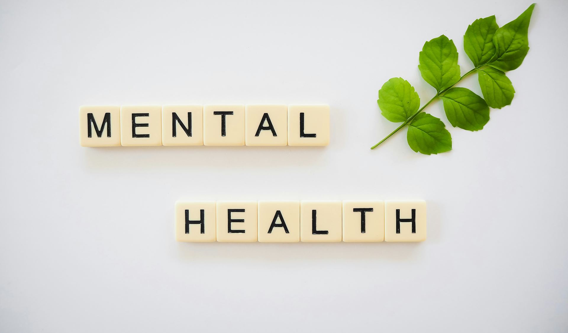 Mental Health Services 