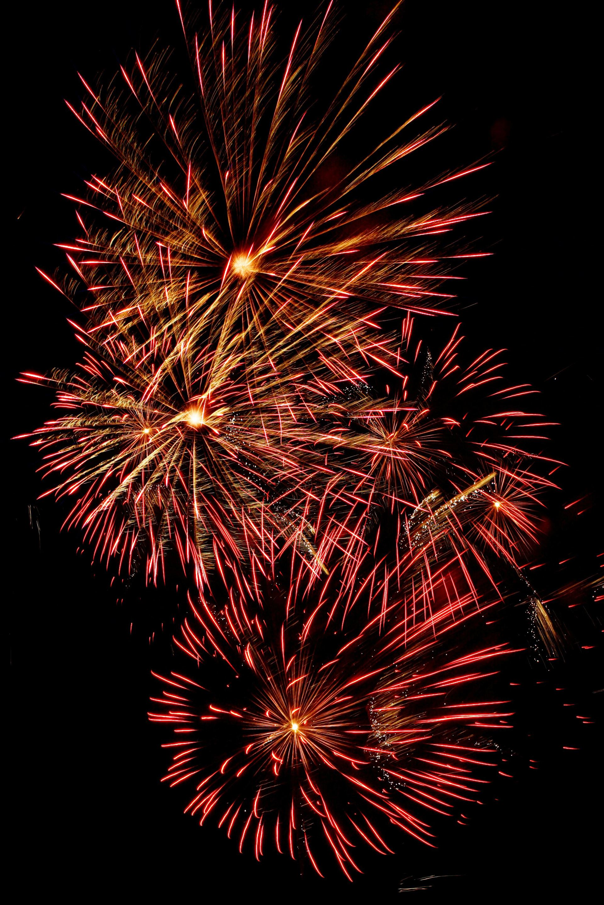 NEW YEARS NEWSLETTER 